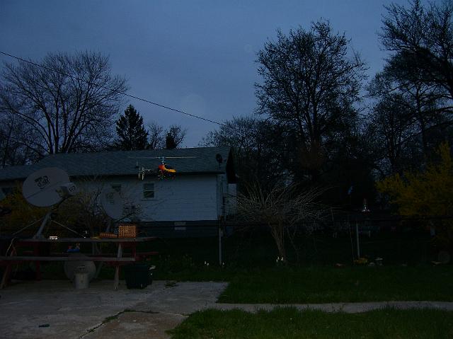 NewCanopy 011.jpg